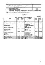 Biznesa plāns 'SIA "XXX" biznesa plāns', 33.