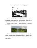 Eseja 'Ainavu plānošana zemes ierīcībā', 2.