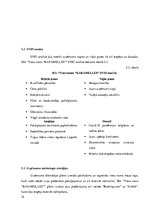 Biznesa plāns 'Biznesa plāns viesu namam', 14.