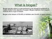 Prezentācija 'Biogas', 2.