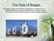 Prezentācija 'Biogas', 10.