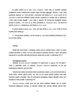 Referāts 'Mākslinieciskā analīze Jāzepa Vītola kora balādei ar Ausekļa vārdiem "Beverīnas ', 15.