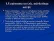 Prezentācija 'Cenu veidošanas politika A/S "Hansabanka"', 5.