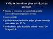 Prezentācija 'Cenu veidošanas politika A/S "Hansabanka"', 14.