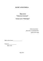 Referāts 'Saskarsmes funkcijas', 1.