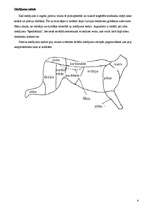 Referāts 'Medījuma gaļa', 4.