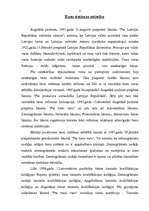 Konspekts 'Latvijas Republikas tiesu iekārta un sistēma', 3.