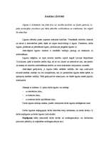 Konspekts 'Līgumi', 1.