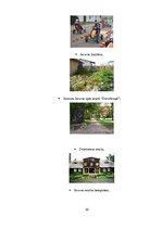 Referāts 'Tūrisma plānošanas projekts Iecavas novadā', 16.