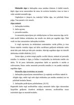 Referāts 'Darbaspēka tirgus raksturojums Latvijā', 10.