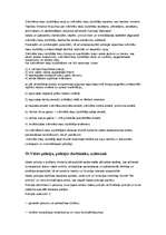 Konspekts 'LR tiesībsargājošās iestādes', 39.