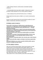 Konspekts 'LR tiesībsargājošās iestādes', 40.