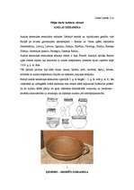 Konspekts 'Auklas un ķemmīšu - bedrīšu keramika ', 1.