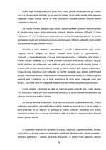 Prakses atskaite 'Prakse VID', 39.