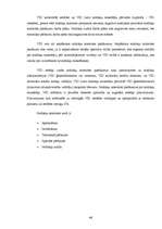 Prakses atskaite 'Prakse VID', 46.