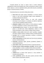 Prakses atskaite 'Prakse VID', 49.