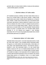 Referāts 'ASV spēka eskalācija Vjetnamas karā (1965-1973)', 10.