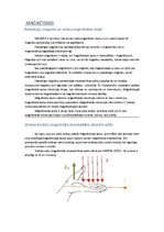 Konspekts 'Magnētisms', 1.