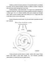 Referāts 'Manas nozīmīgākās atziņas, personības struktūras modelis un vērtību sistēma', 5.