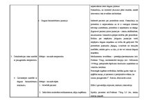 Prakses atskaite 'Aprūpes plāns neiroloģijā', 6.