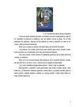 Referāts 'Galda veļa - galdautu veidi', 5.