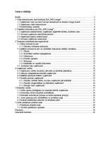 Prakses atskaite 'SIA "MB līzings"', 1.