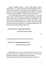 Prakses atskaite 'SIA "MB līzings"', 7.