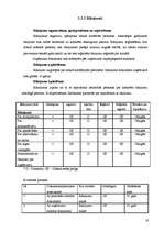 Prakses atskaite 'SIA "MB līzings"', 16.