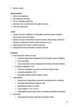 Prakses atskaite 'SIA "MB līzings"', 22.