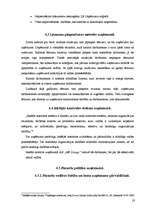 Prakses atskaite 'SIA "MB līzings"', 23.