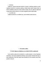 Prakses atskaite 'SIA "MB līzings"', 25.