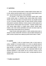 Referāts 'Veselības izmaksas un citi sociāli ekonomiskie aspekti gados veciem cilvēkiem', 13.