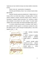 Konspekts 'Sagatavju pirmapstrāde. Pirmā daļa', 6.