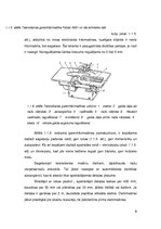 Konspekts 'Sagatavju pirmapstrāde. Pirmā daļa', 9.