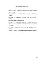 Konspekts 'Sagatavju pirmapstrāde. Pirmā daļa', 29.