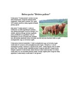 Eseja 'Latgales tūrisma maršruts', 2.