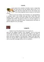 Referāts 'Āfrikas savannas aizsargājamo augu un dzīvnieku valsts', 7.