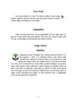 Referāts 'Āfrikas savannas aizsargājamo augu un dzīvnieku valsts', 11.