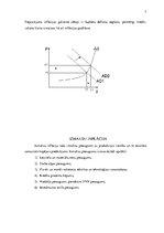 Referāts 'Vai politiķiem vajag censties stabilizēt ekonomiku?', 7.