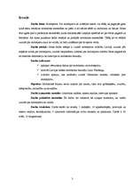 Referāts 'Motosports', 3.