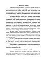 Referāts 'Motosports', 4.