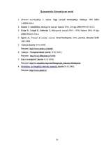 Referāts 'Motosports', 50.