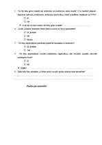 Referāts 'Motosports', 60.