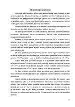 Referāts 'Fermentācijas procesi salami desu ražošanā, izmantojot pienskābas baktērijas', 13.