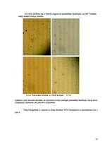 Referāts 'Fermentācijas procesi salami desu ražošanā, izmantojot pienskābas baktērijas', 26.