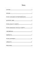 Referāts 'Putni', 2.