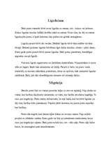 Referāts 'Putni', 7.