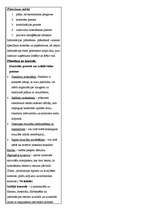 Konspekts 'Uzņēmuma stratēģijas un politikas vadīšana', 5.