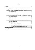 Referāts 'Drošs internets', 2.