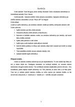 Referāts 'Drošs internets', 3.